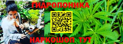 сатива Абинск