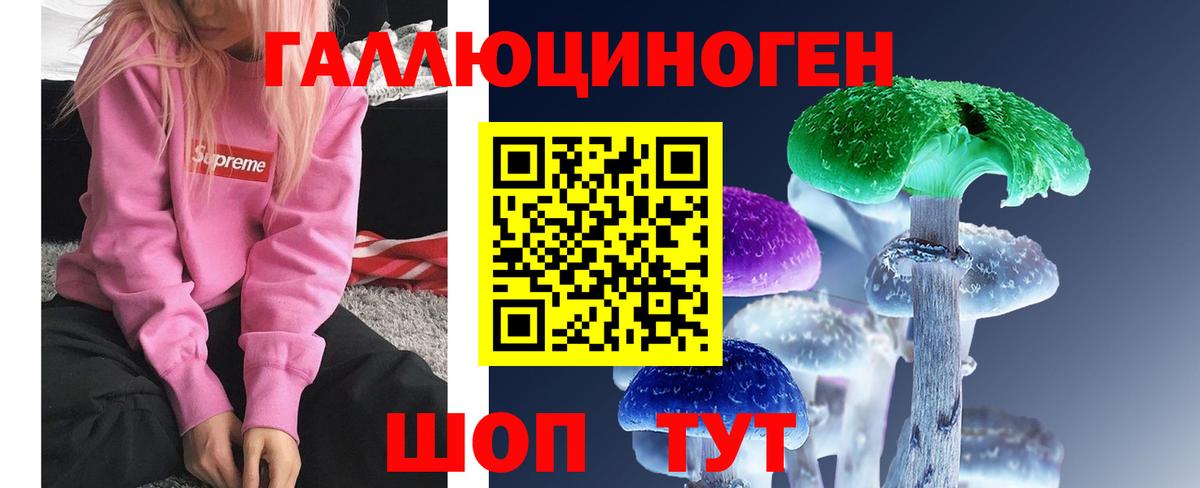 Алексин  Галлюциногенные грибы Psilocybine cubensis  Вход с VPN 